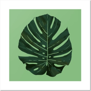 Monstera Leaf Posters and Art